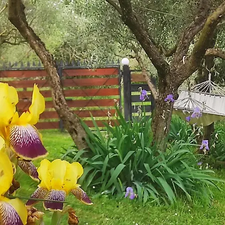 Bed & Breakfast La Casina Di Iris 3*