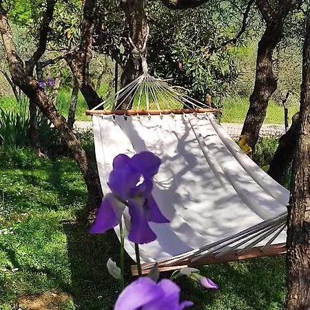 Oda ve Kahvaltı La Casina Di Iris Arezzo