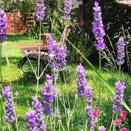 La Casina Di Iris Bed and breakfast