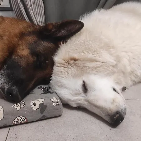 La Casina Di Iris Arezzo